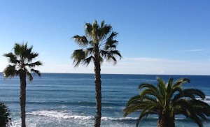 La Jolla View