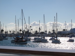 The Harbor in San Diego