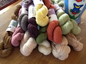 Louet Yarn