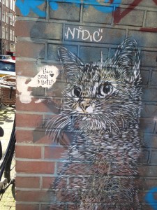 Kitty Grafitti