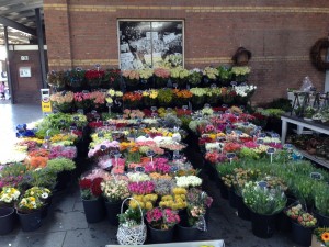 Flower market in Roermond train station