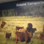 Ground Transportation from Calgary Airport