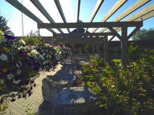 Olds Pergola