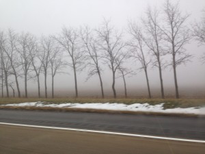 Fog All The Way To DC