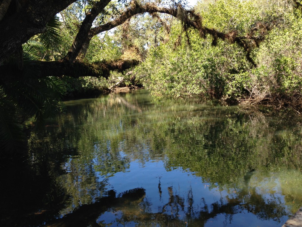 Channeling Marjorie Kinnan Rawlings at the Koreshan Bamboo Landing