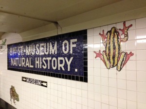 Amazing Mosaic Subway - Thank You, MTA!