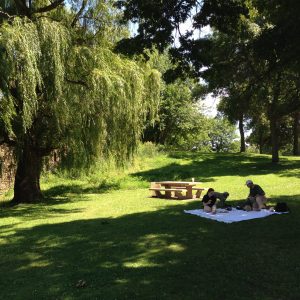 The Family Picnics at Phalen Park, near our new home